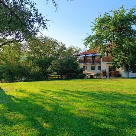 Pensiunea Agroturistica Ica Valea Draganului Exterior photo