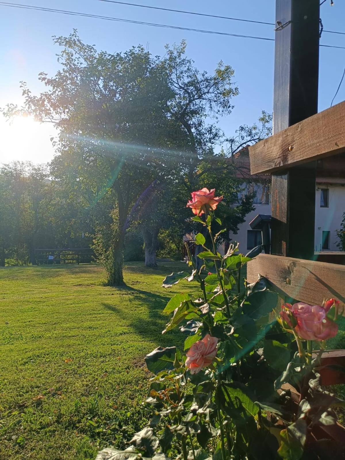 Pensiunea Agroturistica Ica Valea Draganului Exterior photo